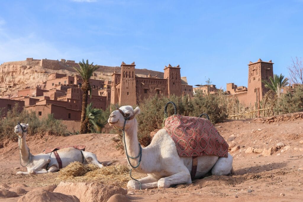 Morocco Tours & Travel Packages Sahara Desert