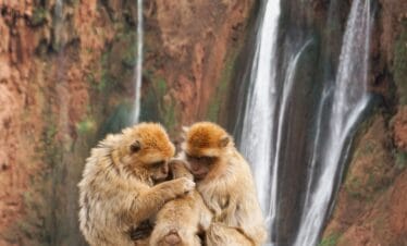 Morocco Tours & Travel Packages Sahara Desert