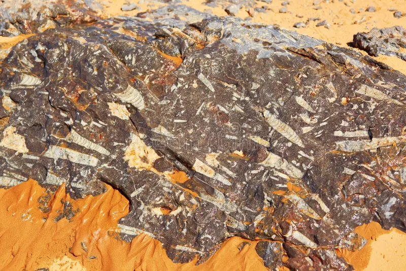 Morocco Tours & Travel Packages Sahara Desert